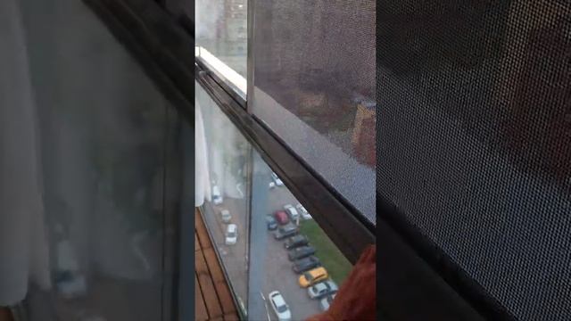 Москитные сетки антикошка