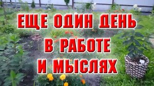 Еще один день прошел в делах и мыслях