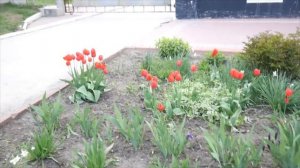 Немецкая народная песня "Весна"