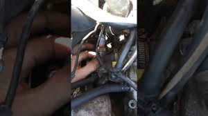 Где находиться термостат на Ниссан примера р10