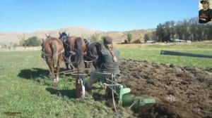 ВСПАШКА ЛОШАДЬЮ В РАЗНЫХ СТРАНАХ МИРА, ПОДБОРКА #horse / POWING BY HORSE IN DIFFERENT COUNTRIES