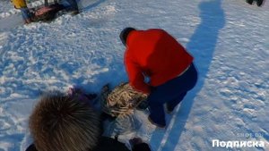 Нырнул в ПРОРУБЬ при -- 15 МОРОЗА