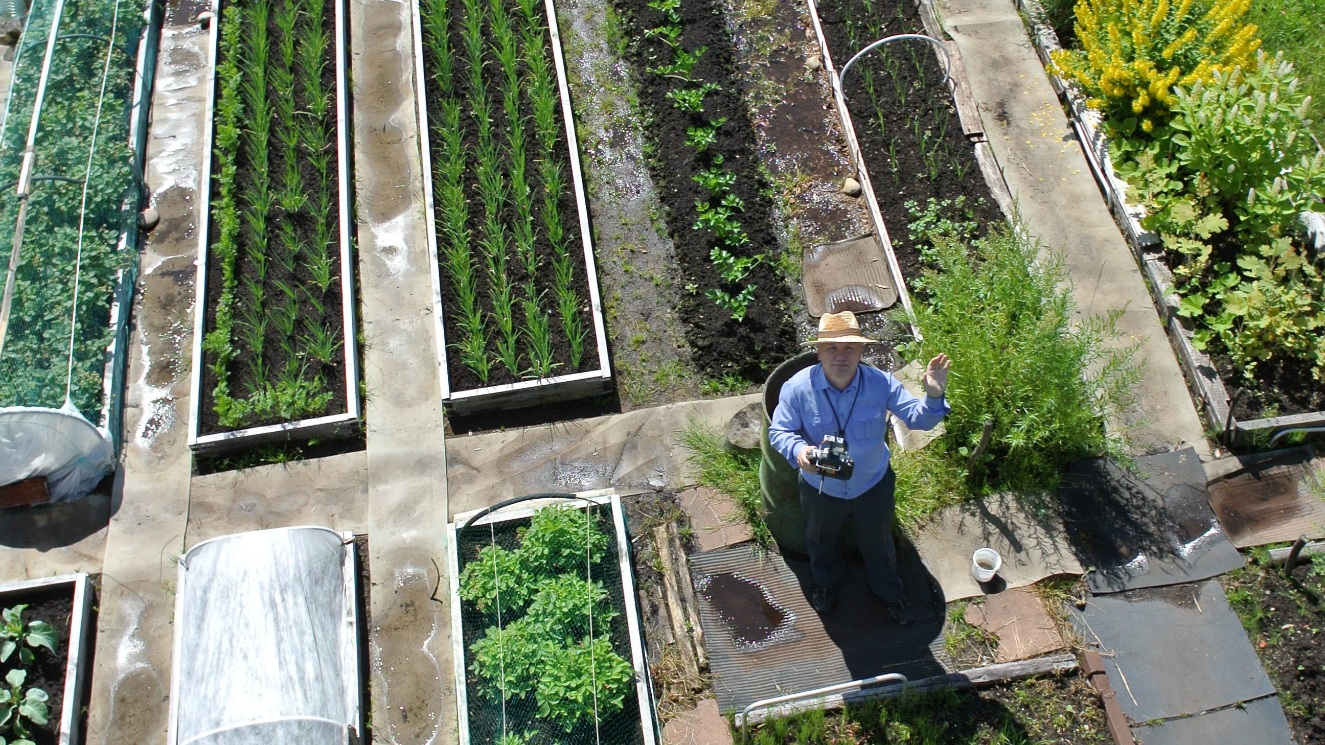 История моего увлечения. Часть 4.