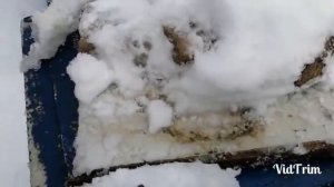 Пасека в болоте! 10 февраля!