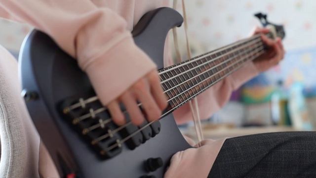 WAKE UP HATE - I Just Don't Love You Anymore | Bass Cover смотреть онлайн