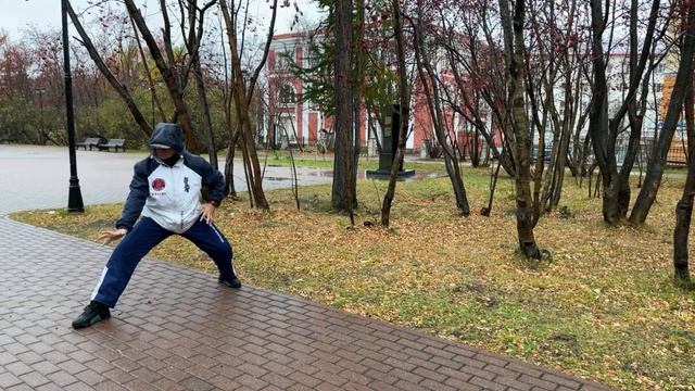 Ицюань / Yiquan (302 день). Ченбао и Хуньюань Чжуан / Фуху Чжуан / Фуань Фали Цзо-Ю / Туйшоу Цзянь