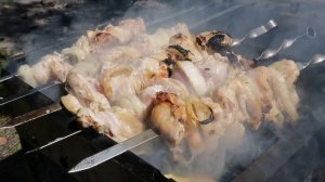 DOG VLOG | Наша спонтанная поездка с собакой на базу отдыха