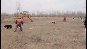 Русский ринг и Большой ринг