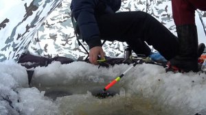 Ловля леща на арбалет #2. Рыбалка на Осколе. Кум первый раз на зимней рыбалке.