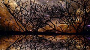 сура Аль-Исра аят:81#Аллаh#сунна#дуа#коран#мольба#аят