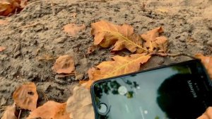 История о том как Денис ПОТЕРЯЛ телефон в лесу