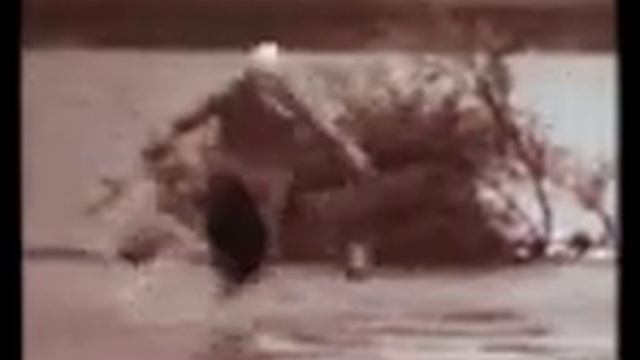 Я иду бегом по лужам смотреть онлайн