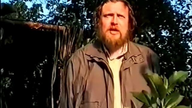 ШИПОВНИК - ПОЛЬЗА. Свойства, применение в народной медицине.