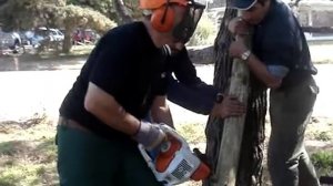 Taladro Motor a Explosión STIHL BT 45 - malancaagro