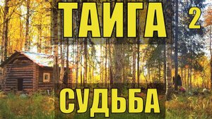 ОТШЕЛЬНИК в ТАЙГЕ КАТОРГА ШТРАФБАТ КОНЦЛАГЕРЬ ИЗБА ЛЕСНИКА ХОЗЯИН СУДЬБА ИСТОРИИ из ЖИЗНИ в ЛЕСУ 2