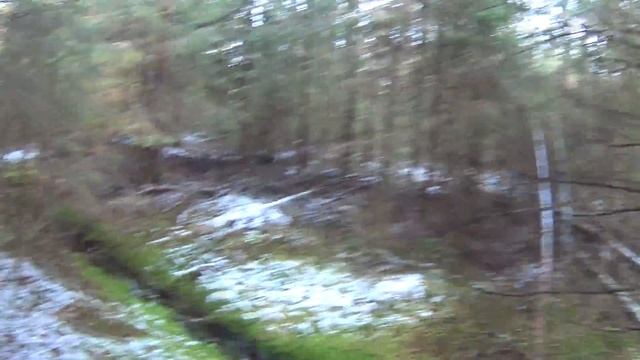 За грибами в начале ноября по заснеженному лесу смотреть онлайн