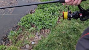 Фидер на реке в запрет. Рыбалка на Москве-реке в Марьино