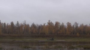 ОСЕННЯЯ ОХОТА НА КОЛЫМЕ. ПЕРЕЗАЛИЛ ВИДЕО) ТЫСЯЧИ И ТЫСЯЧИ УТОК, ВЫ ТАКОГО НЕ ВИДЕЛИ!