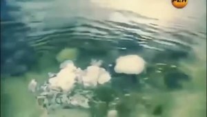 Аномалии в нашей жизни. Невероятное и загадочное