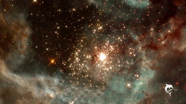 Kvartet Predraga Ivanovica-Pod Sjajem Zvezda смотреть онлайн