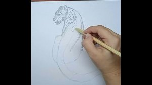 Как нарисовать снежного барса // How to draw a snow leopard \\ Снежный барс