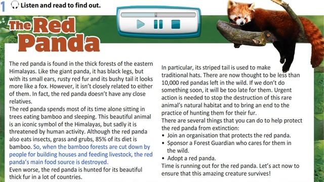 The Red Panda (Text) Excel 8 Module 6