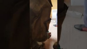 Почему на улицу лучше покупать зеленый Лазерный Уровень и как видно лазерный нивелир в зеленых очка