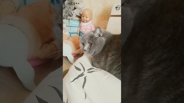 у нас отминили уроки в школе иза того что в Мурманске -34°😂 смотреть онлайн