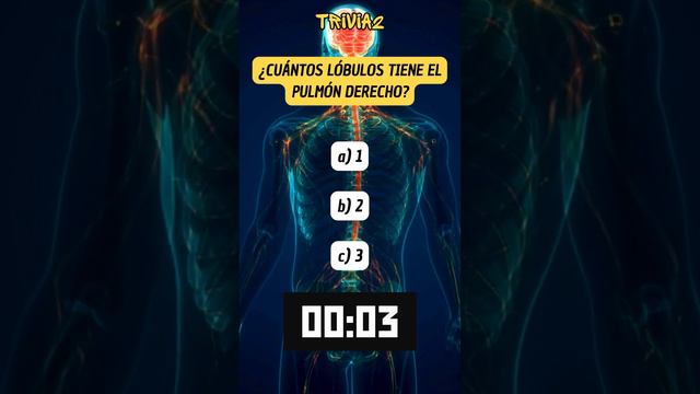 Una trivia que te dara hambre😋🍝 parte 1 смотреть онлайн