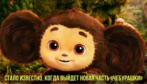Стало известно, когда выйдет новая часть «Чебурашки» | Холодец попал в топ худших блюд мира