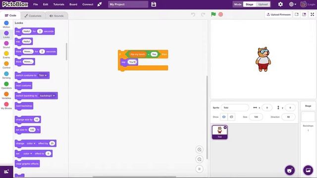 Boolean Expressions & Conditionals : Programming for Kids with Scratch (Computer Programming Basics