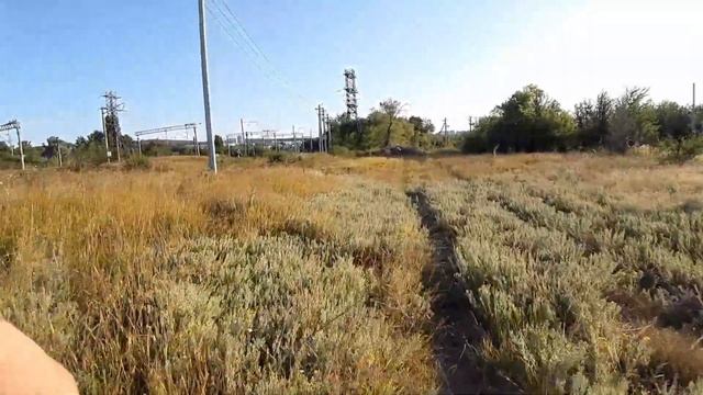 Саратов 13.08.2019 Велозаезд Пруды ОПХ
