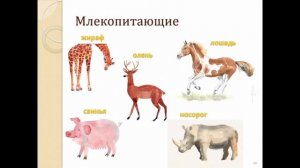 ПРОЕКТ ч.1 | Окружающий мир | ЦАРСТВА ЖИВОЙ ПРИРОДЫ | 3 класс | ЗАЩИТНОЕ СЛОВО | часть 1