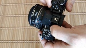 Работа Viltrox EF M2 0.71x на тушке Olympus OM-D E-M5 mark II