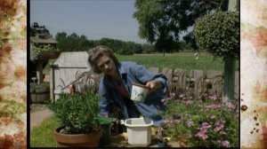 Ways to Water Plants While You Are Away