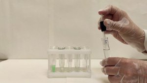 Лабораторная работа №1. Опыт 6. Соли в реакциях обмена