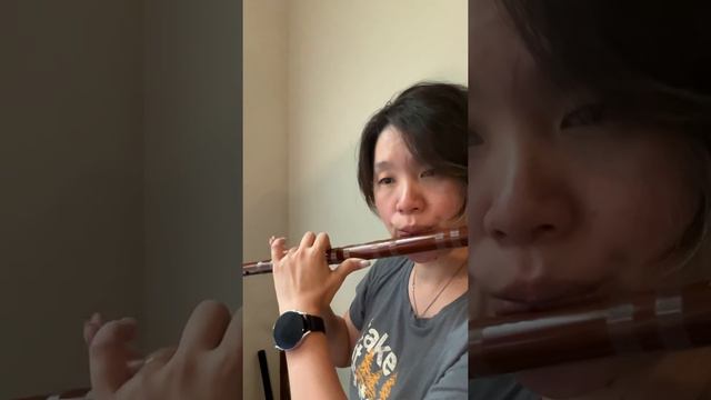 紅桜夢 笛子 смотреть онлайн