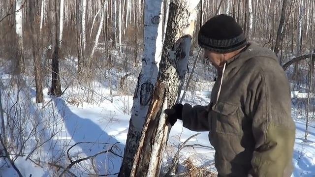 ИЗ ЧЕГО СДЕЛАТЬ ТОПОРИЩЕ, крепкий и надежный материал на рукоять топора