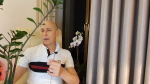 Жёсткая вода- для замиокулькаса беда. Почему желтеют  листья у долларового дерева.