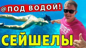 СЕЙШЕЛЫ под ВОДОЙ - дайвинг ночью! Остров Праслин и секретный фрукт!