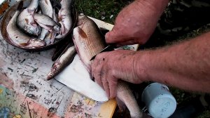 ЛОВИМ САМУЮ ВКУСНУЮ РЫБУ. #часть_1.