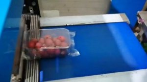 Горизонтально упаковочная машина DXDZ-450 с транспортером