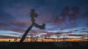 The Handsome Family - Far From Any Road