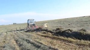 Грабли ворошилки колёснопальцевые ГВВ-6М