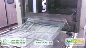 Термоформовочная машина