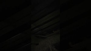 Прицеп щеповоз с двигающимся полом