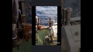 Сртм Юрий Орёл промысел креветки