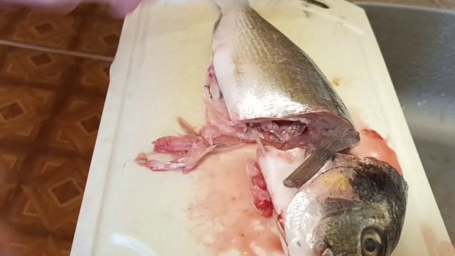Быстро и легко готовим рыбный суп из Дорадо quick and easy to cook dorado fish soup