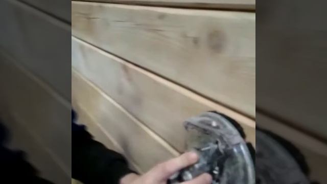 Шлифовка стен в доме из бруса естественной влажности