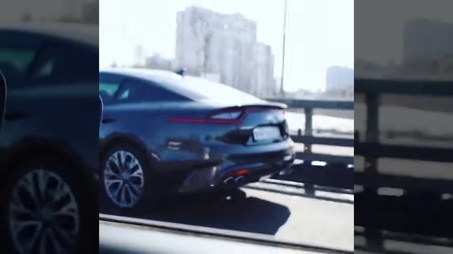 Один день из жизни училки по флористике смотреть онлайн